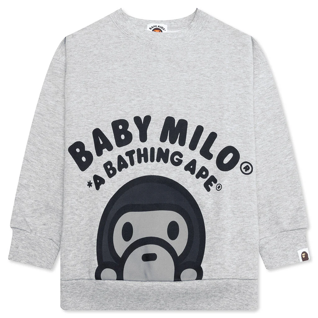 Kid's Baby Milo Relaxed Fit Crewneck Sweatshirt - Gray