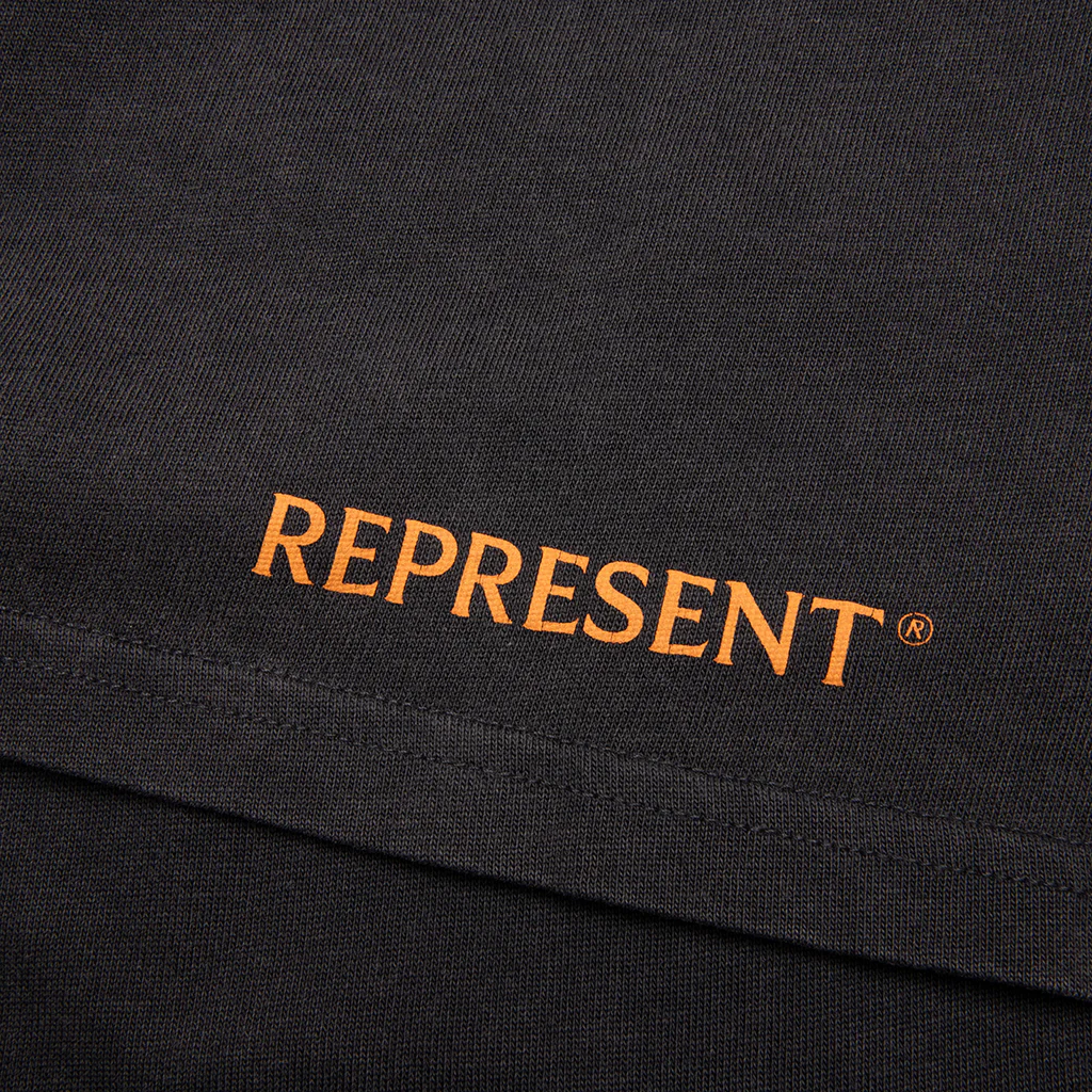 Higher Truth T-Shirt - Aged Black - Image 6