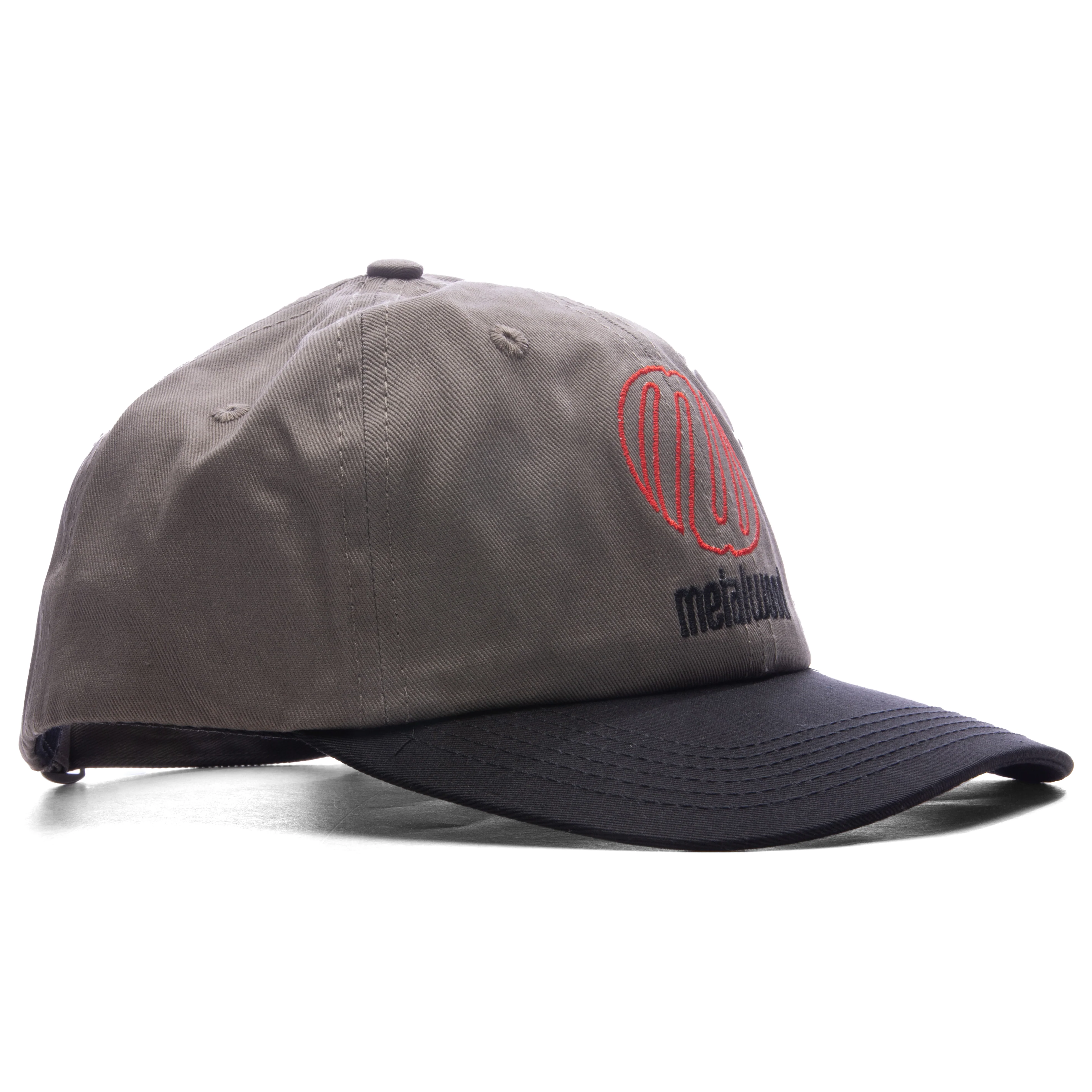 Team Logo Dad Hat - Grey - Image 3