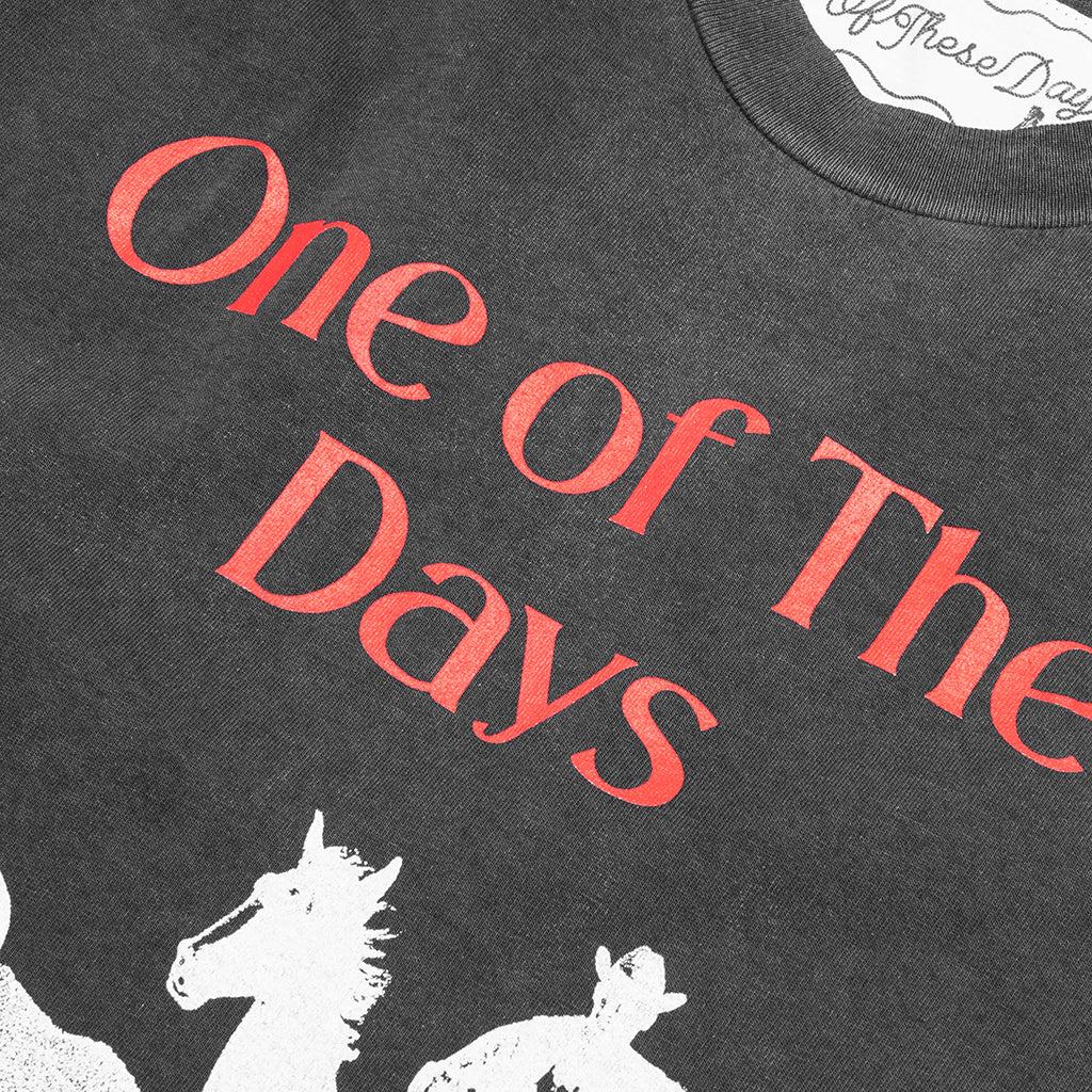 Across the Plains T-Shirt - Sun Faded Black - Image 3