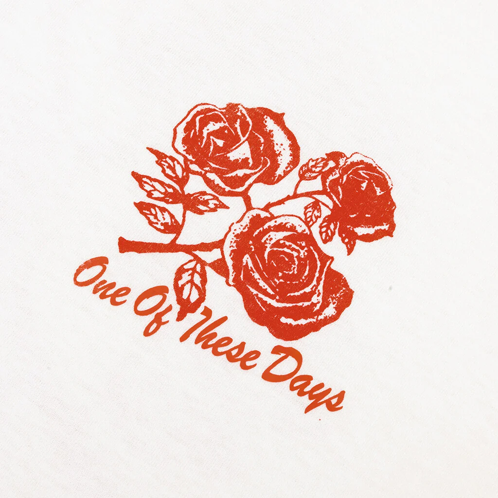 Sweet Jane T-Shirt - Bone - Image 3