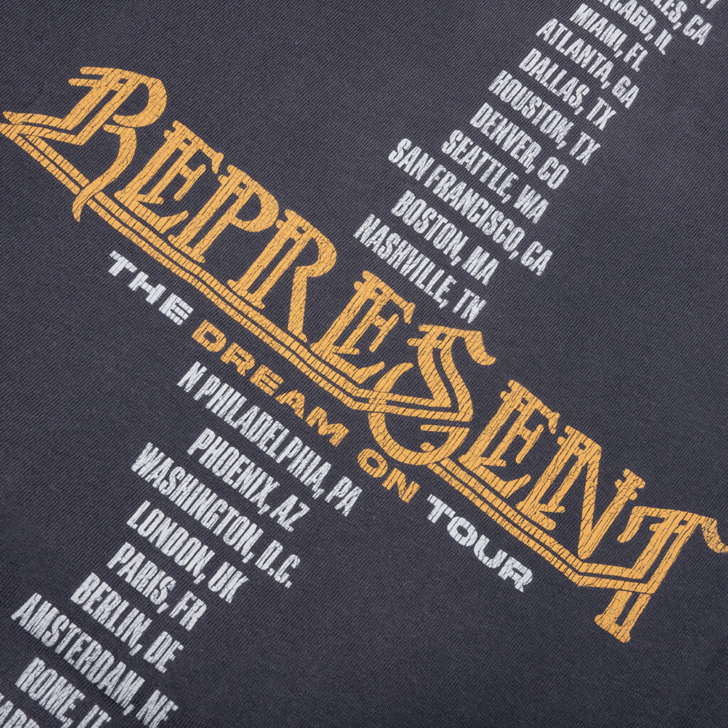 Golden Tour T-Shirt - Sun Fade Grey - Image 4