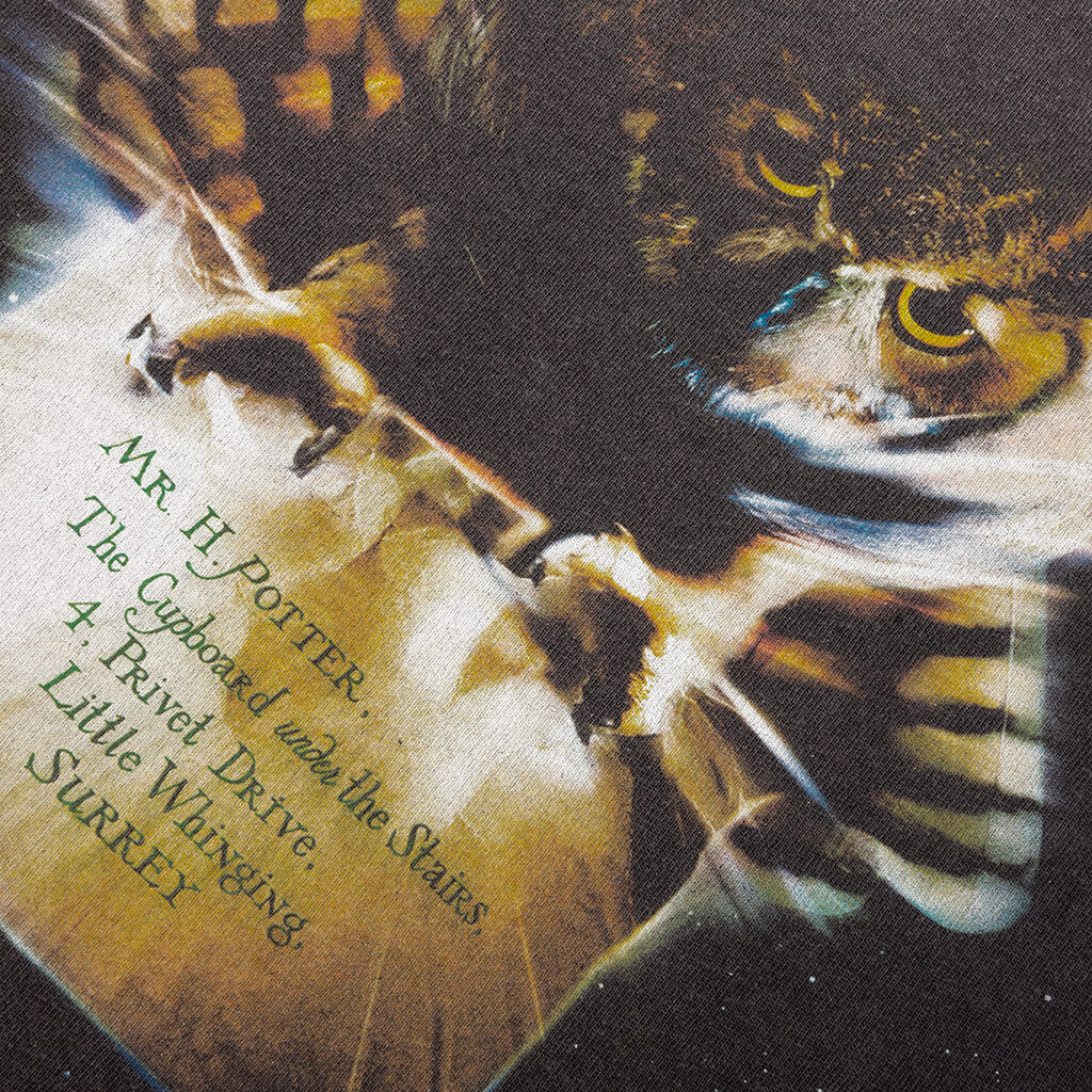 Saint M6 x Harry Potter Philosopher's Stone S/S Tee - Black - Image 5