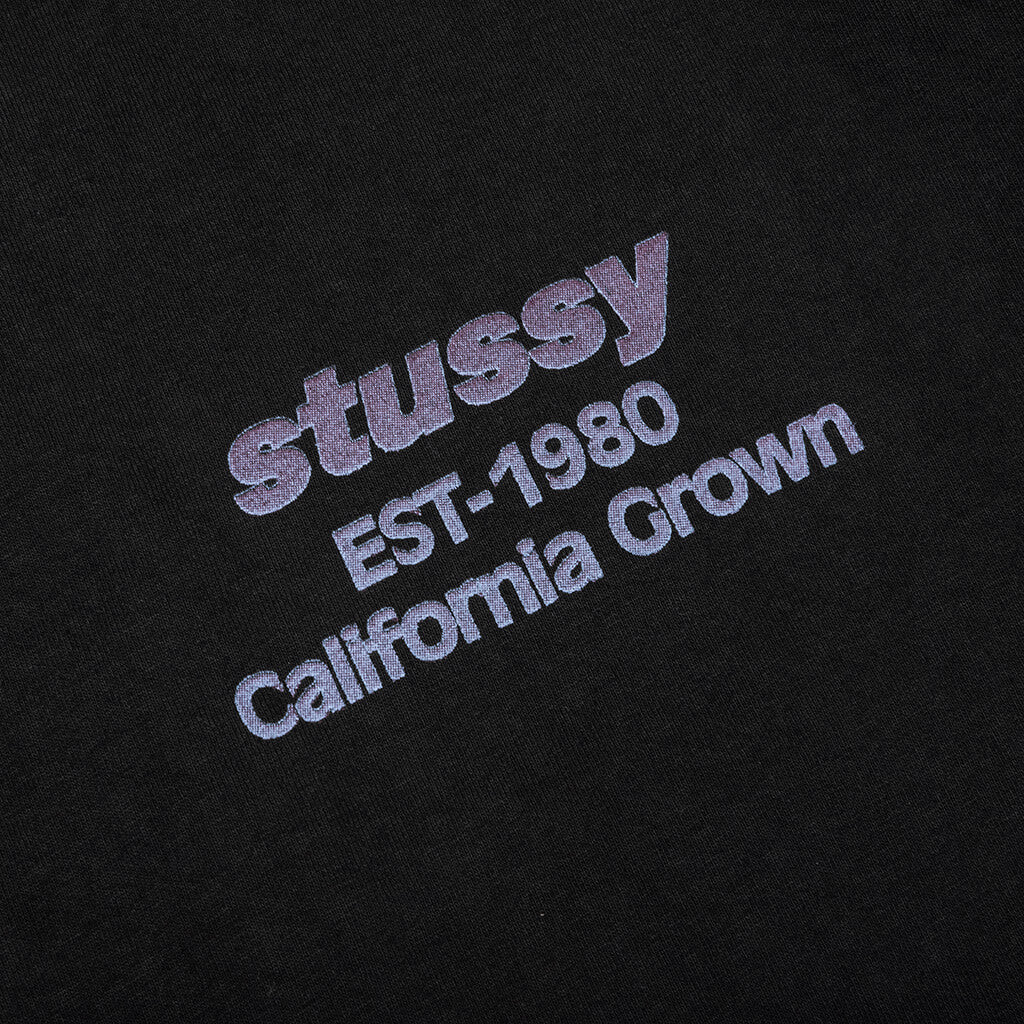California Grown Pigment Dyed Tee - Black - Image 4