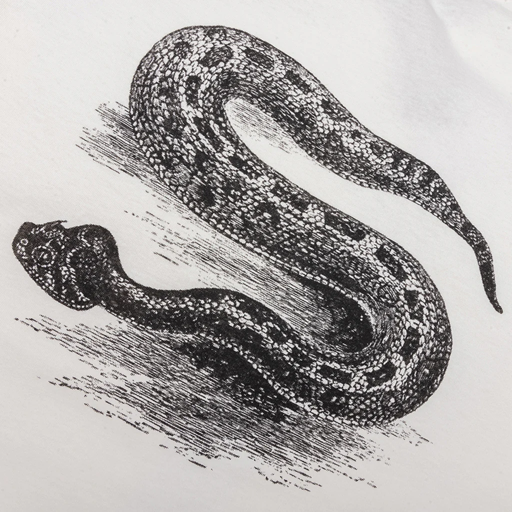 Serpent Pigment Dyed Tee - Natural - Image 4